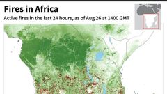 Active fires in sub-Saharan Africa over the last 24 hours.