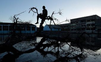Mozambique looks beyond Cyclone Idai to better protection in the future