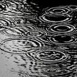heavy showers hit Morocco's Taroudant region late in the day