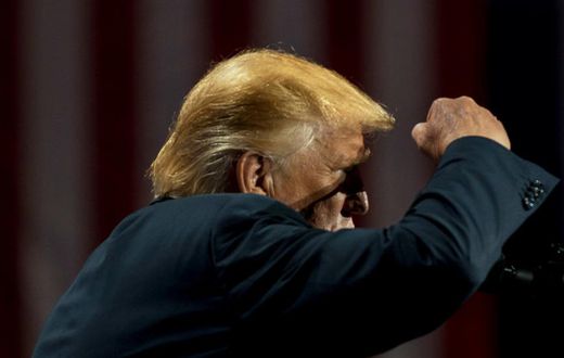 Corn as high as Donald Trump's tie