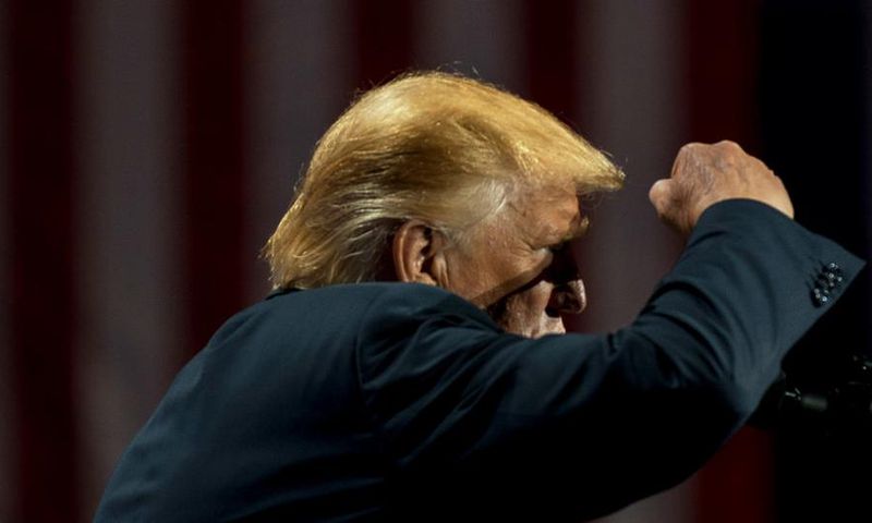 Corn as high as Donald Trump's tie