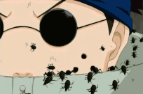 Insects gif (fanaru)