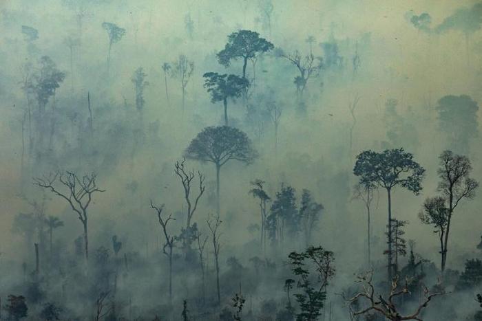Nearly 80,000 forest fires have been detected in Brazil since the beginning of the year, a little over half in the Amazon region