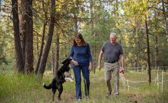 She Quit Her Job. He Got Night Goggles. They Searched 57 Days for Their Dog.