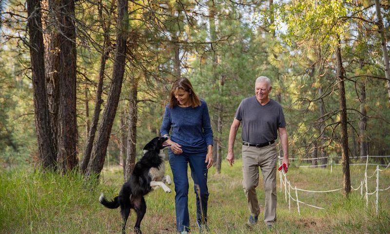 She Quit Her Job. He Got Night Goggles. They Searched 57 Days for Their Dog.