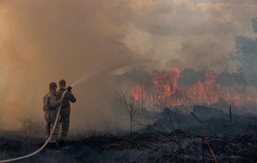Firefighters in the Brazilian Amazon basin state of Mato Grosso battle a forest blaze in the municipality of Sorriso