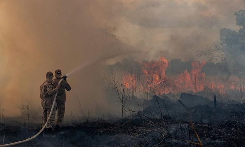 Firefighters in the Brazilian Amazon basin state of Mato Grosso battle a forest blaze in the municipality of Sorriso