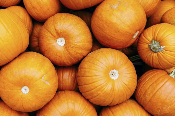 9 Dietitian-Backed Health Benefits Of Pumpkin