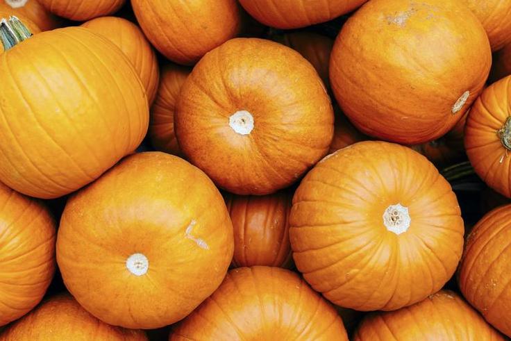 9 Dietitian-Backed Health Benefits Of Pumpkin