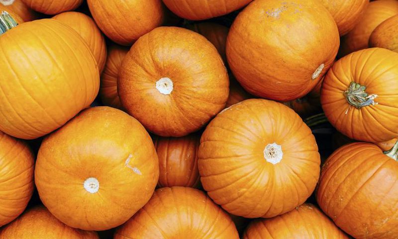 9 Dietitian-Backed Health Benefits Of Pumpkin