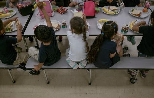 Urban schools in danger of losing the resources immigration brought