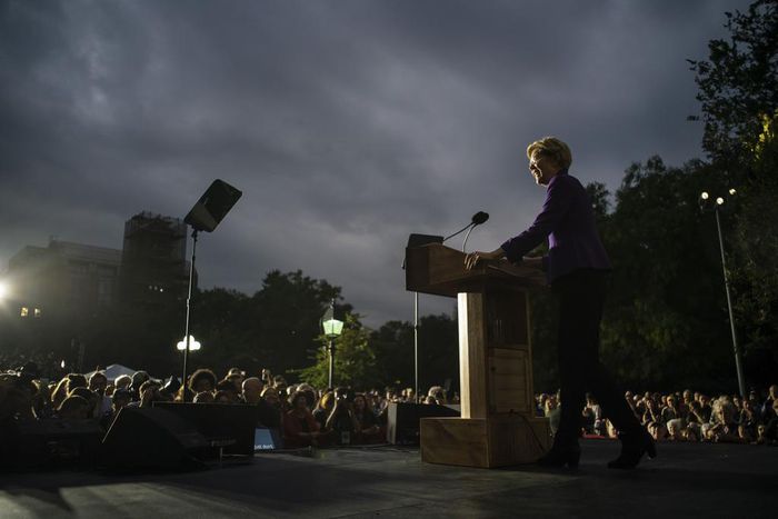 Elizabeth Warren Lost Her Dream Job but Gained a Path to 2020