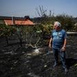 Adriano Dias Silva, 69, managed to stop flames reaching his home, but could not save his orchard