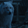 GoT Fans Hate How Jon Snow Left Ghost