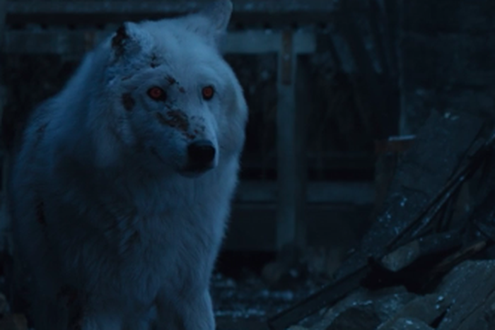 GoT Fans Hate How Jon Snow Left Ghost