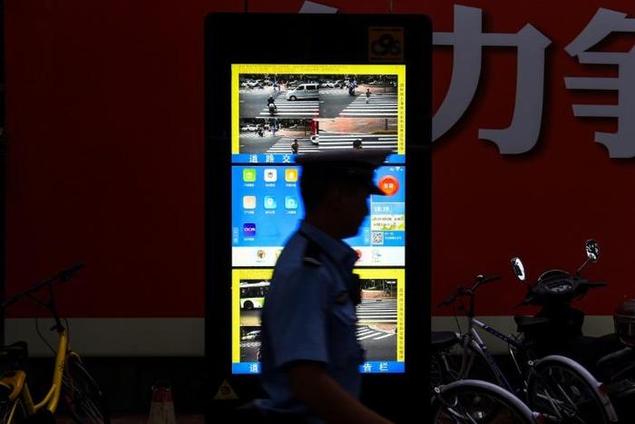 From penalising irresponsible dog owners to blacklisting dissenters, critics warn China's social credit system enables authorities to define "desirable and undesirable behaviour" and could allow unparralleled control of citizen's lives