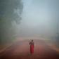 The Waiapi's territory has faced growing pressure from miners, ranchers and loggers under Bolsonaro