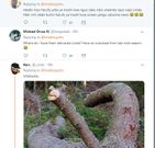 Reactions on Linda Oguttu's Tweet