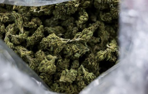 Inmates Can Legally Possess Marijuana, but Not Smoke It, California Court Rules