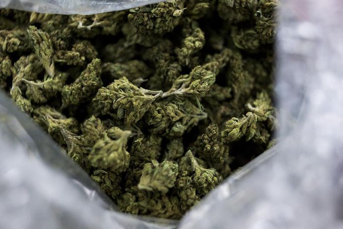 Inmates Can Legally Possess Marijuana, but Not Smoke It, California Court Rules