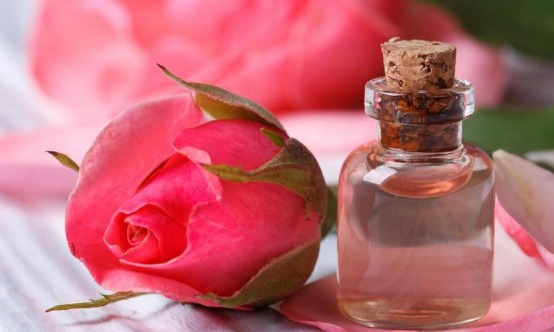 Rose water (medicalnewstoday)