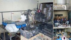 DCI raid illegal alcohol manufacturing plant in Nairobi, 8 arrested