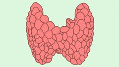 How To Lose Weight When You Have Hypothyroidism