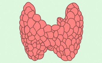 How To Lose Weight When You Have Hypothyroidism