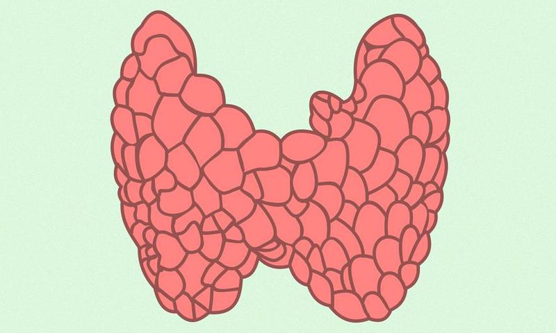 How To Lose Weight When You Have Hypothyroidism