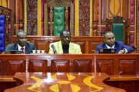 ODM politician to be punished for not supporting Imran Okoth in Kibra by-election