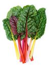 12 Best Types Of Greens And Lettuce To Add To Your Salad