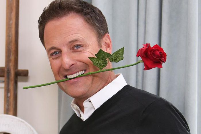 Everything To Know About 'Bachelor In Paradise'