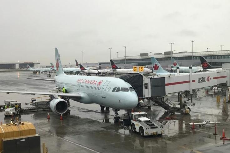 Tiffani Adams was left onboard an Air Canada plane after landing, and woke up alone in the darkened aircraft