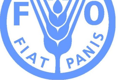 Food and Agriculture Organization (FAO)