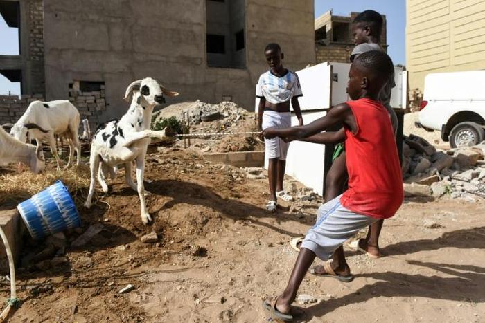 In Senegal, Muslim families join Christians as they prepare for the feast of the Eid al-Adha