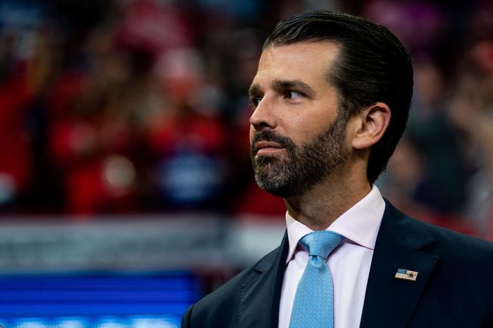 Donald Trump Jr. Shares, Then Deletes, a Tweet Questioning Kamala Harris' Race