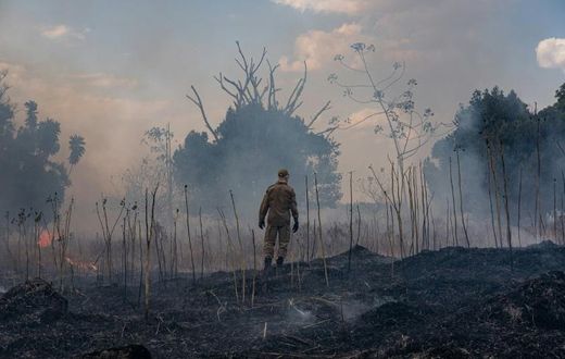 This handout from August 2019 photo shows a firefighter combating a fire in the Amazon basin in the municipality Sorriso, Mato Grosso State, Brazil