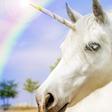 Dr. Pimple Popper Just Popped A Unicorn Cyst