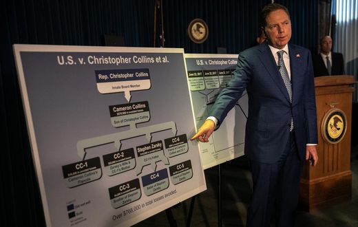 He Was Trump's First Fan in Congress. Now He's a Felon.
