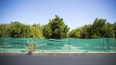 Sprawl May Eat Vestige of Southern California's Citrus Empire