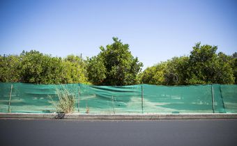 Sprawl May Eat Vestige of Southern California's Citrus Empire