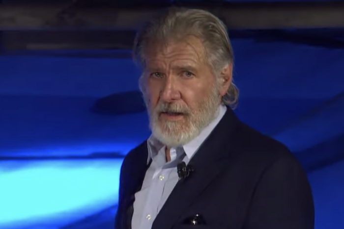 Why is No One Talking About Harrison Ford’s Beard?