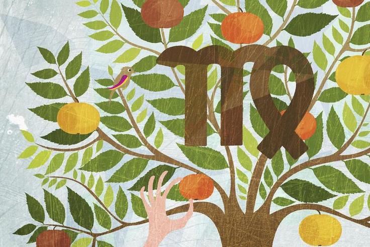 What Virgo Season Means For Your Zodiac Sign