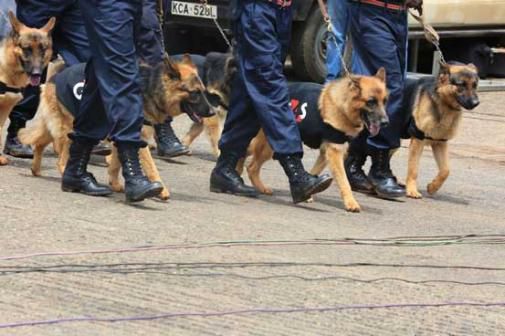 Private security guards allowed to carry firearms