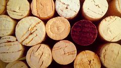 Watch Dr. Pimple Popper Pop 'Cork' Blackhead