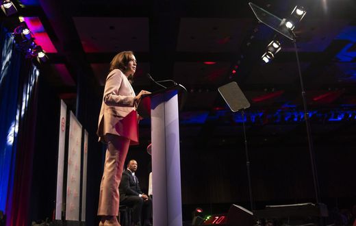 Pragmatism, Not Ideology, Defines Harris