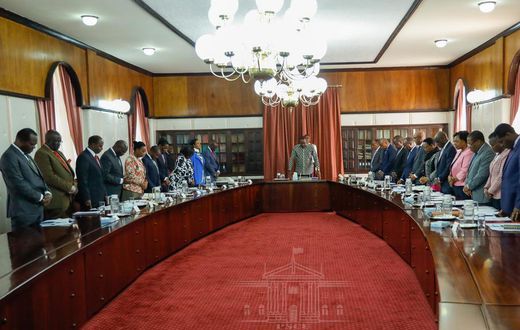 Cabinet bans child adoption in Kenya by foreign nationals after Baby Kiano drama