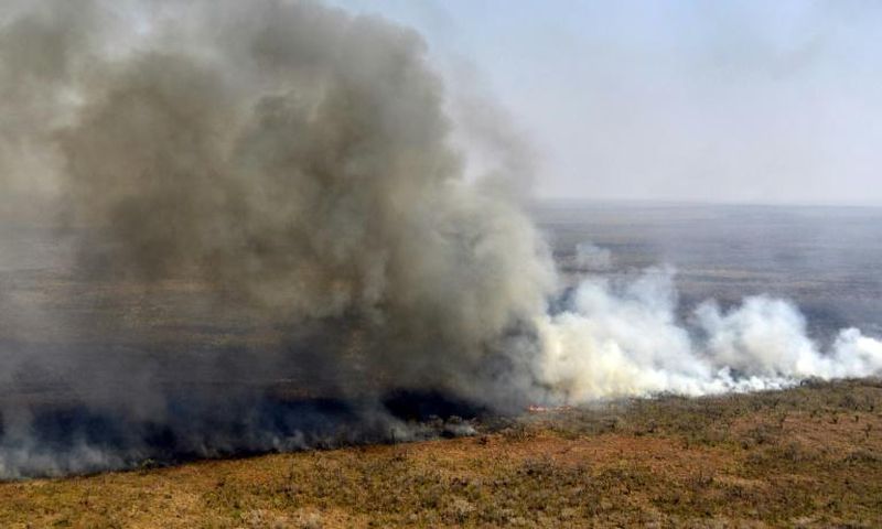 Fires have destroyed 1.2 million hectares of forest and grasslands in Bolivia this year, the government said on Wednesday, although environmentalists claim the true figure is much greater