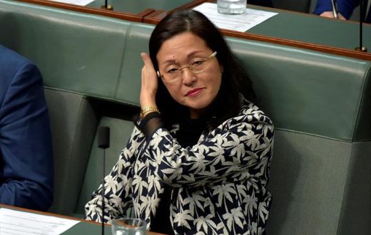 Gladys Liu, the first Chinese-Australian woman elected to the country's parliament, has been accused of being a member of organisations linked to China's ruling party