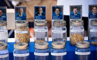 Why You Can't Volunteer for Election Polls, and Other Polling Facts